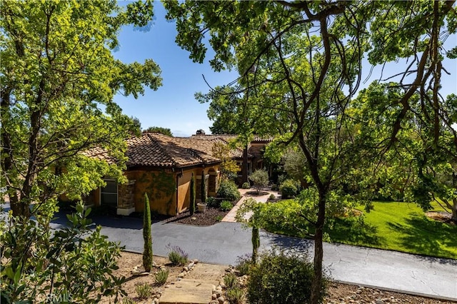 1015 Wild Oats Way, Templeton, CA 93465 - exterior space with stone siding, a front lawn, a tile roof, and stucco siding