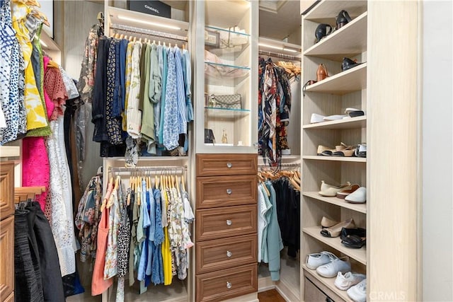 1015 Wild Oats Way, Templeton, CA 93465 - view of walk in closet