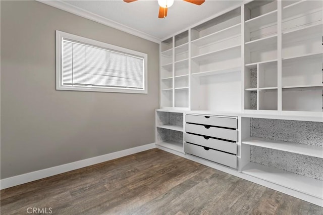 interior space featuring dark wood-style floors and ceiling fan