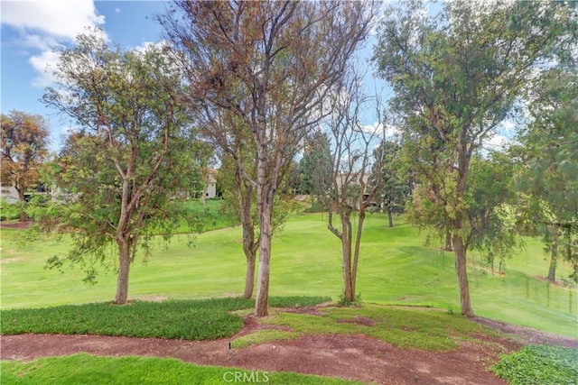 surrounding community with a yard