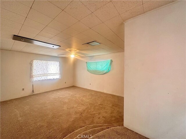 empty room featuring ceiling fan and carpet
