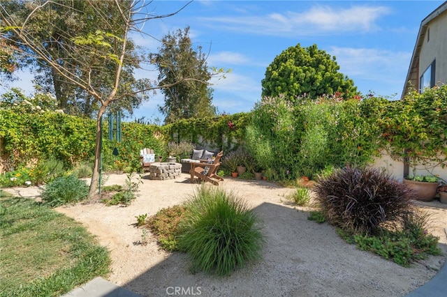 view of yard featuring a patio area