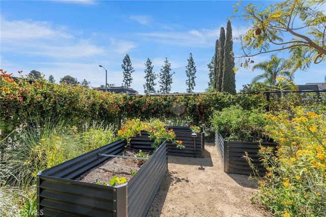 view of yard featuring a vegetable garden