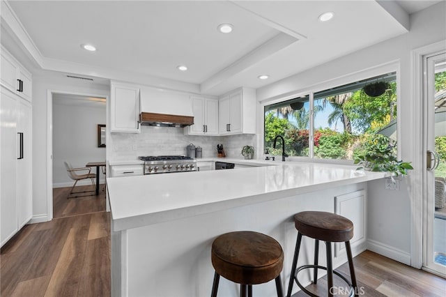 kitchen with a wealth of natural light, light countertops, premium range hood, and a tray ceiling
