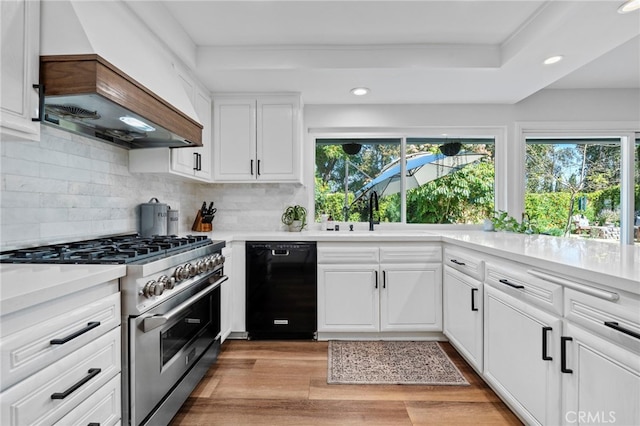 kitchen with high end stove, a sink, black dishwasher, a healthy amount of sunlight, and custom exhaust hood