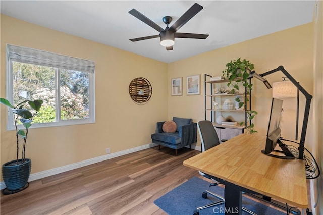 office with wood finished floors, a ceiling fan, and baseboards