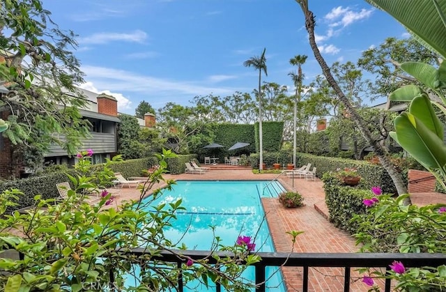 11767 W Sunset Blvd Unit 206, Los Angeles, CA 90049 - community pool with a patio area