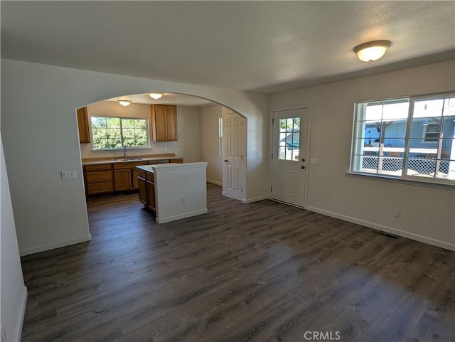 kitchen featuring a sink, plenty of natural light, dark wood-type flooring, and arched walkways