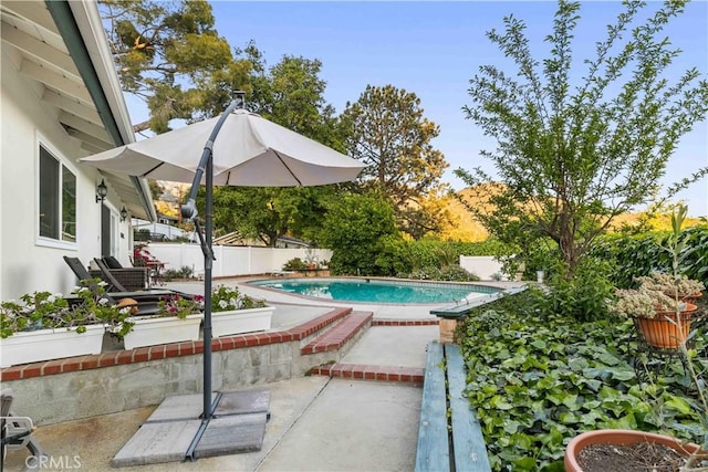 view of swimming pool featuring a fenced backyard, a patio, and a fenced in pool