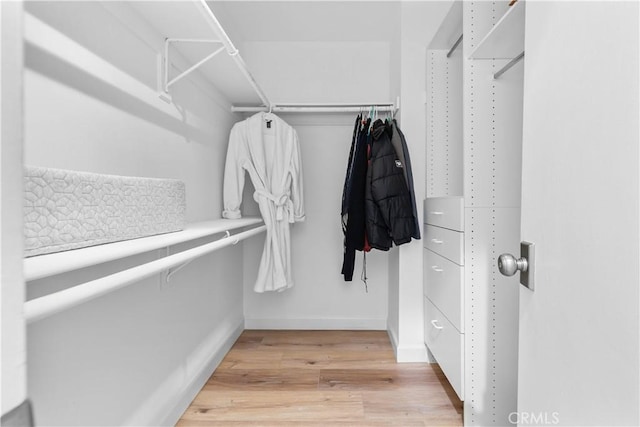 spacious closet with light wood-style floors