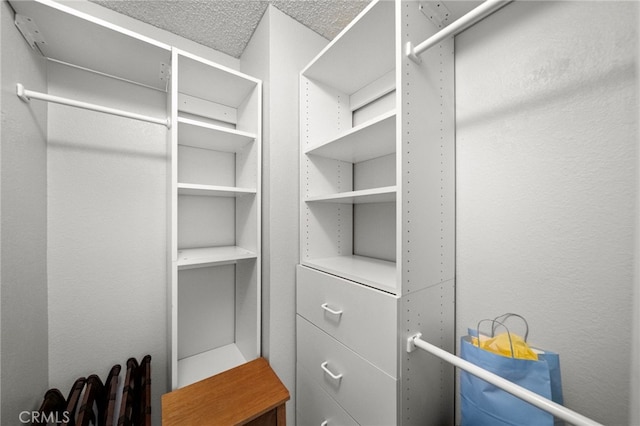 view of walk in closet