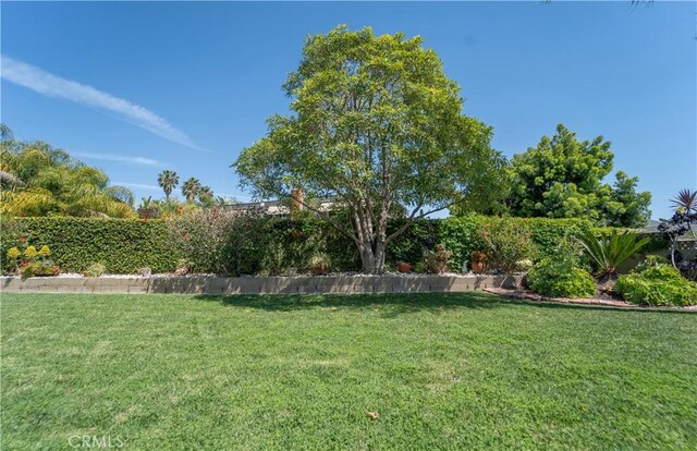 24492 Spartan St, Mission Viejo, CA 92691 - view of grassy yard