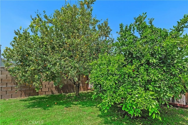 2548 S Young Ct, San Bernardino, CA 92408 - view of yard featuring a fenced backyard