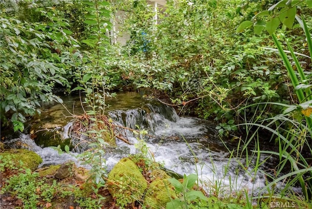 14109 Meadow Ln, Lytle Creek, CA 92358 - view of local wilderness