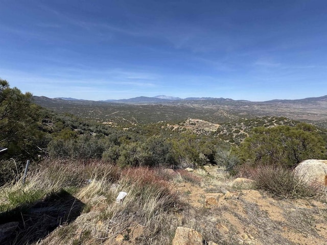 60770 Rim Rock Rd, Anza, CA 92539 - photo 4