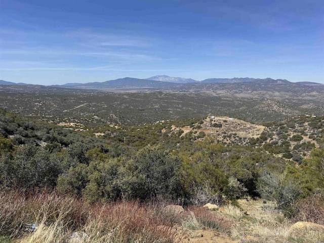 60770 Rim Rock Rd, Anza, CA 92539 - photo 2