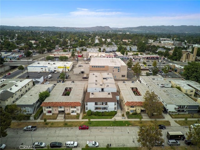 7025 Vassar Ave, Canoga Park, CA 91303 - photo 4