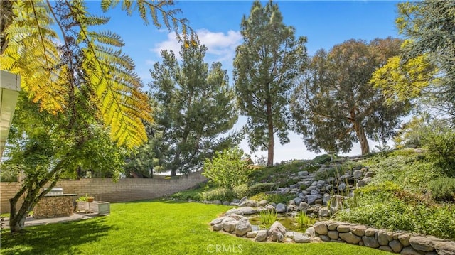 view of yard featuring fence