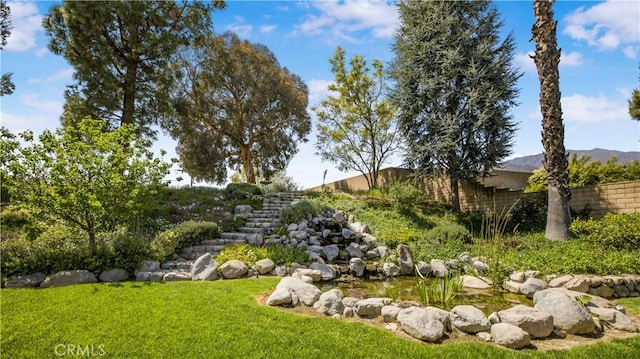view of yard with a mountain view