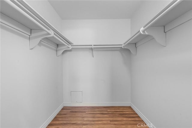 walk in closet with wood finished floors