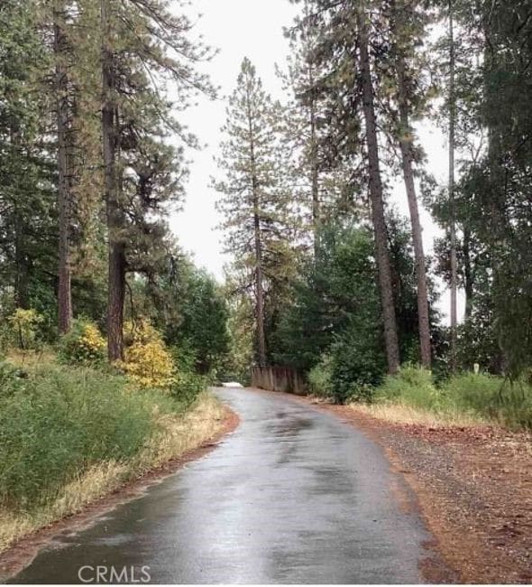 view of street featuring a view of trees