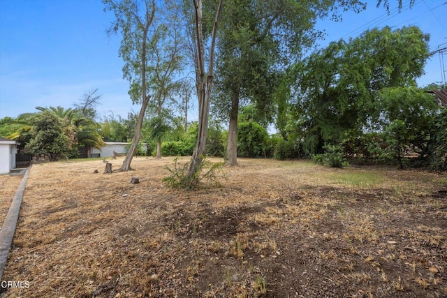 view of yard