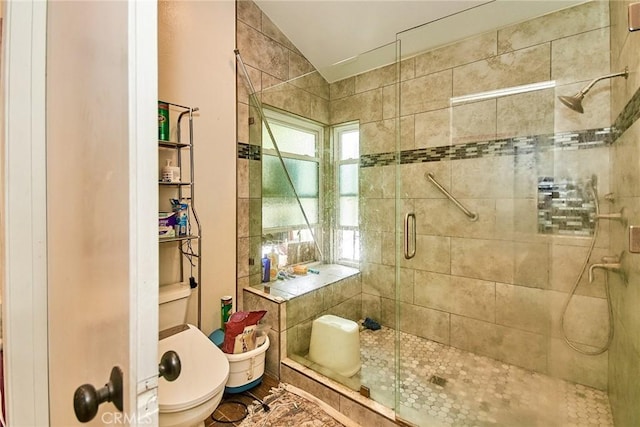 bathroom with a stall shower, toilet, and lofted ceiling
