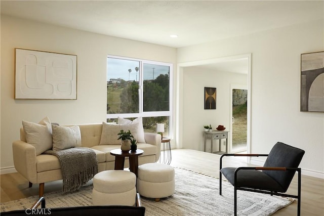 living area featuring wood finished floors and baseboards