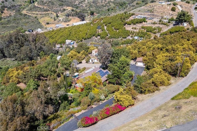 drone / aerial view