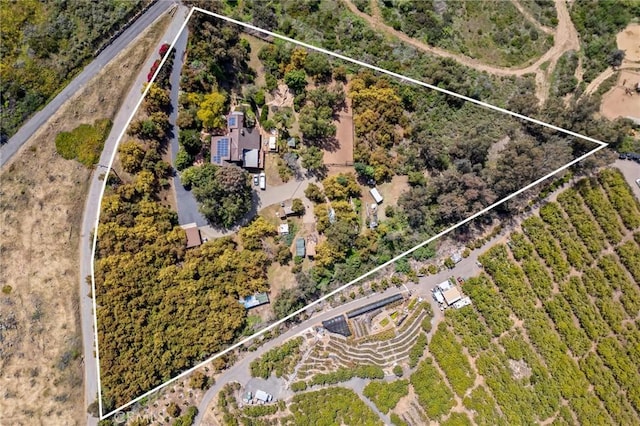 aerial view
