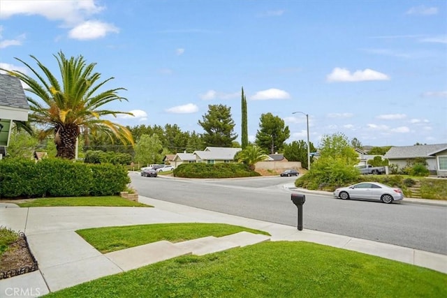 view of street with curbs, sidewalks, and street lighting