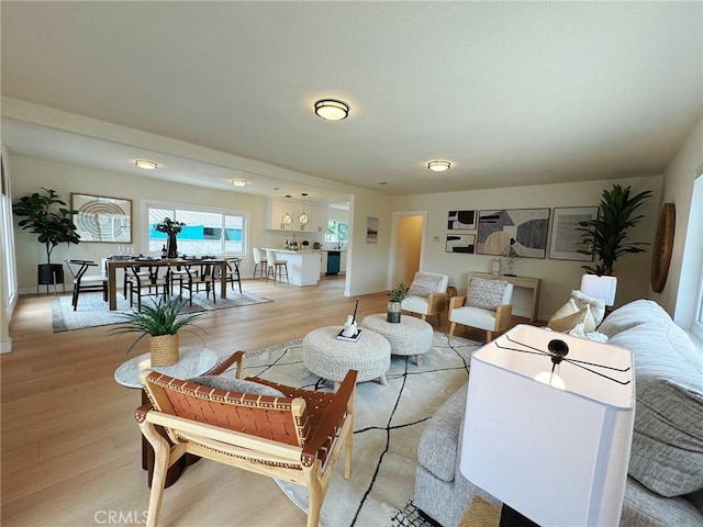 living room featuring light wood-style flooring