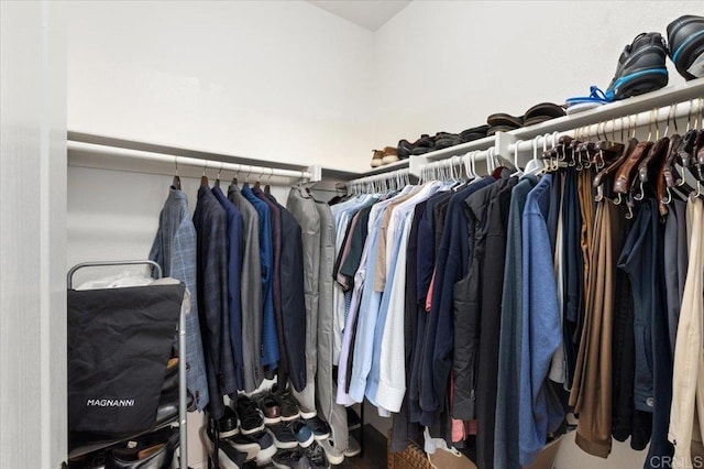 view of walk in closet