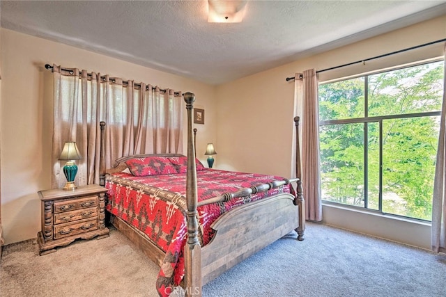 bedroom featuring carpet and a textured ceiling