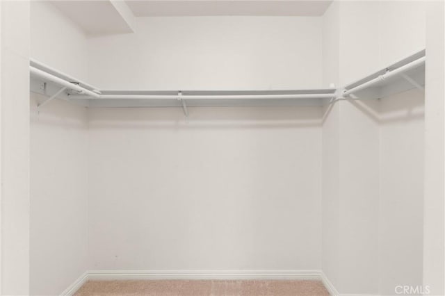 spacious closet with carpet floors