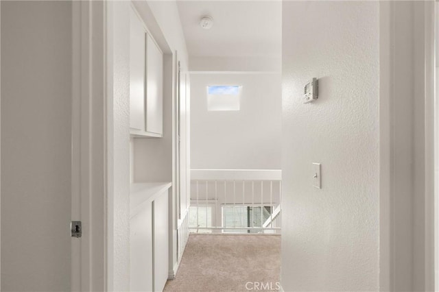 corridor with carpet floors and a textured wall