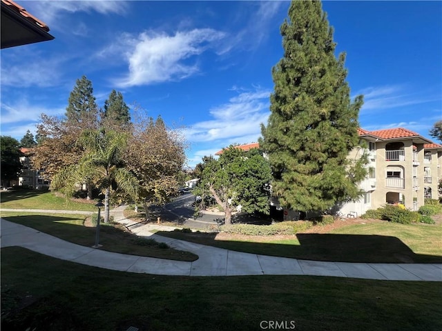 3243 San Amadeo Unit 2H, Laguna Woods, CA 92637 - view of yard