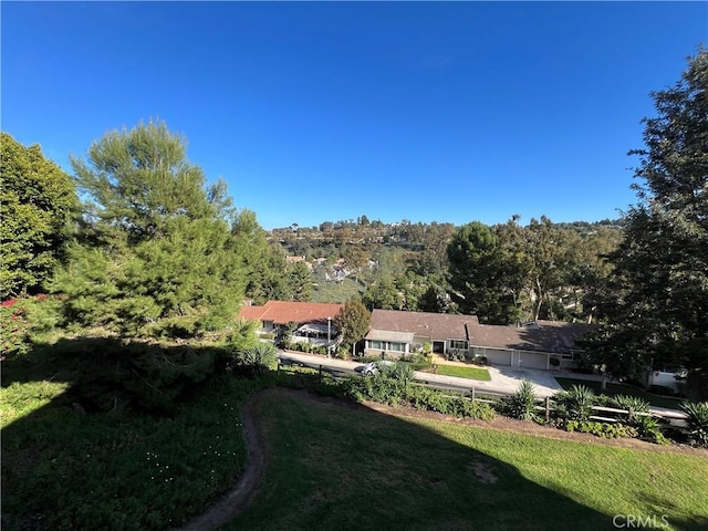 3243 San Amadeo Unit 2H, Laguna Woods, CA 92637 - view of yard