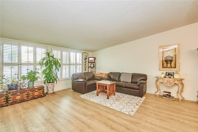 living room featuring baseboards, a textured ceiling, and wood finished floors
