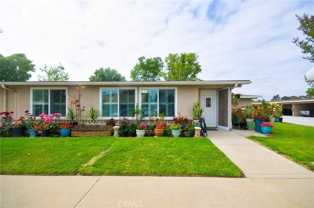 ranch-style house featuring a front lawn and stucco siding