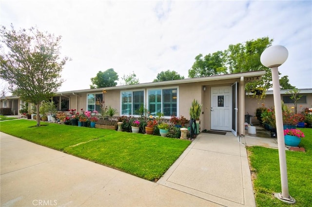 single story home featuring stucco siding and a front yard
