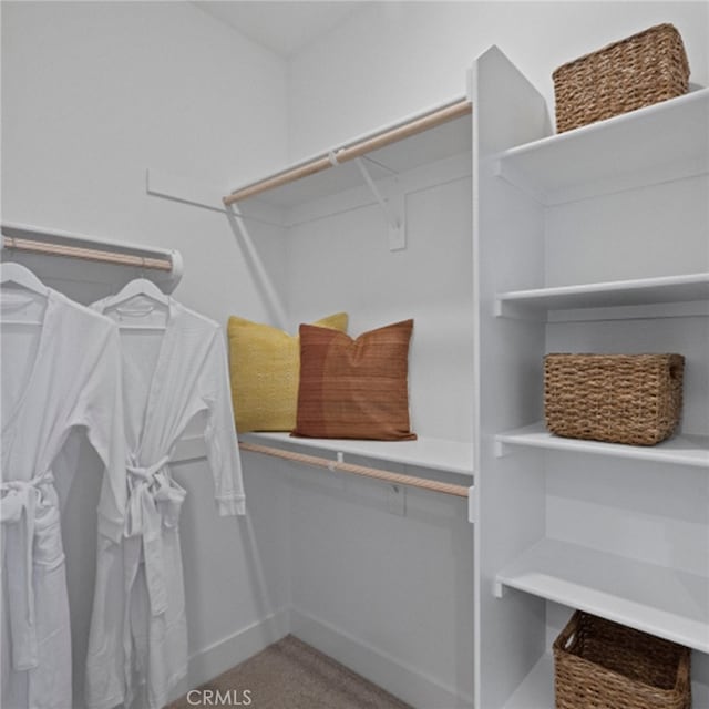 walk in closet featuring carpet floors