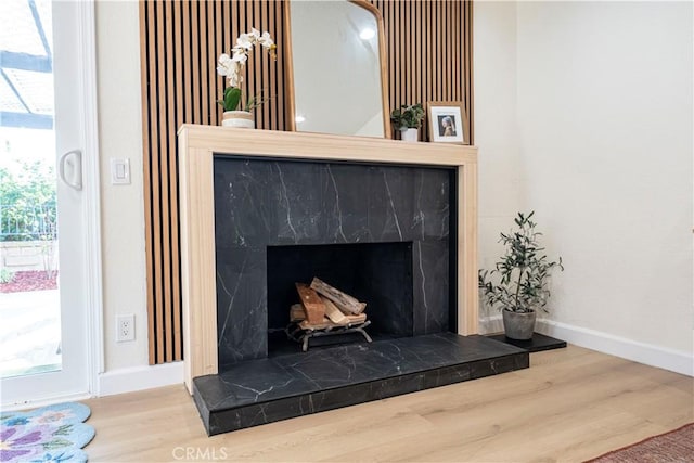 details with a high end fireplace, baseboards, and wood finished floors