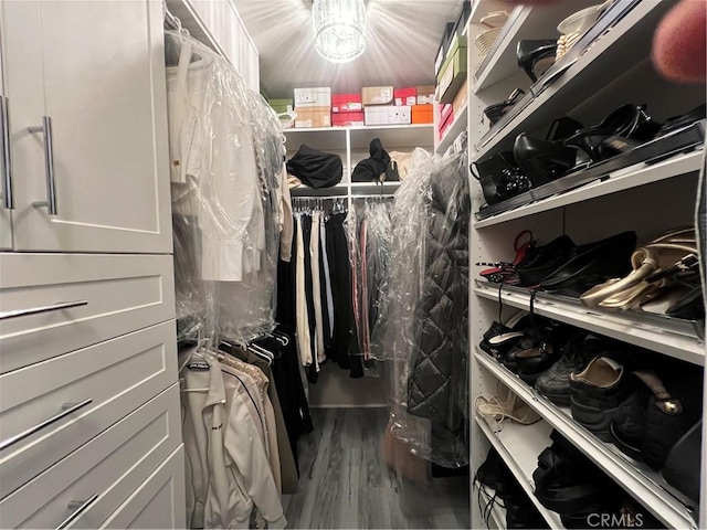 spacious closet featuring wood finished floors