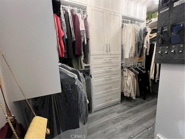 spacious closet with light wood-type flooring