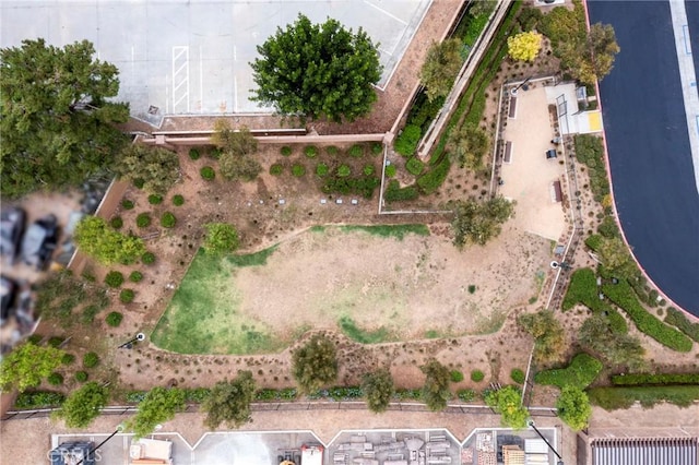 bird's eye view