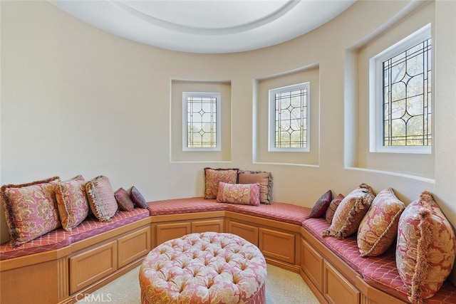 28 Malibu, Irvine, CA 92602 - sitting room featuring plenty of natural light