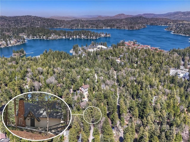 377 Hillside Rd, Lake Arrowhead, CA 92352 - bird's eye view of a water and mountain view