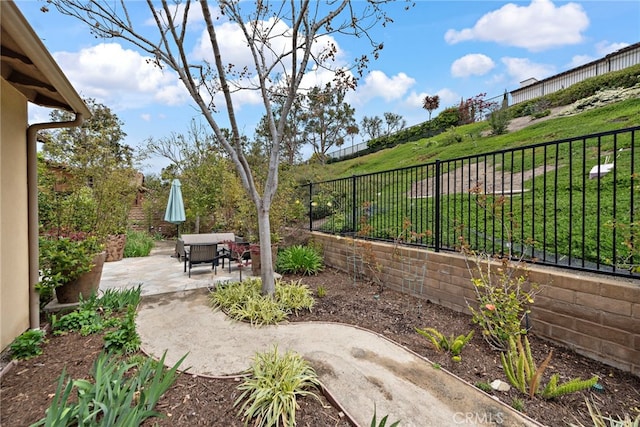 view of yard featuring a fenced backyard and a patio area