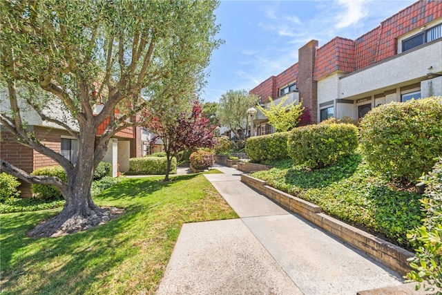 view of property's community featuring a lawn